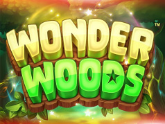 Wonder Woods